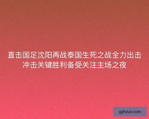 直击国足沈阳再战泰国生死之战全力出击冲击关键胜利备受关注主场之夜